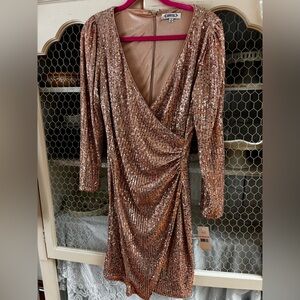 Nanette Lepore Long Sleeve Rose Gold Sequin Dress 10